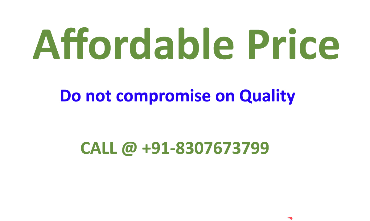 seo service in Faridabad